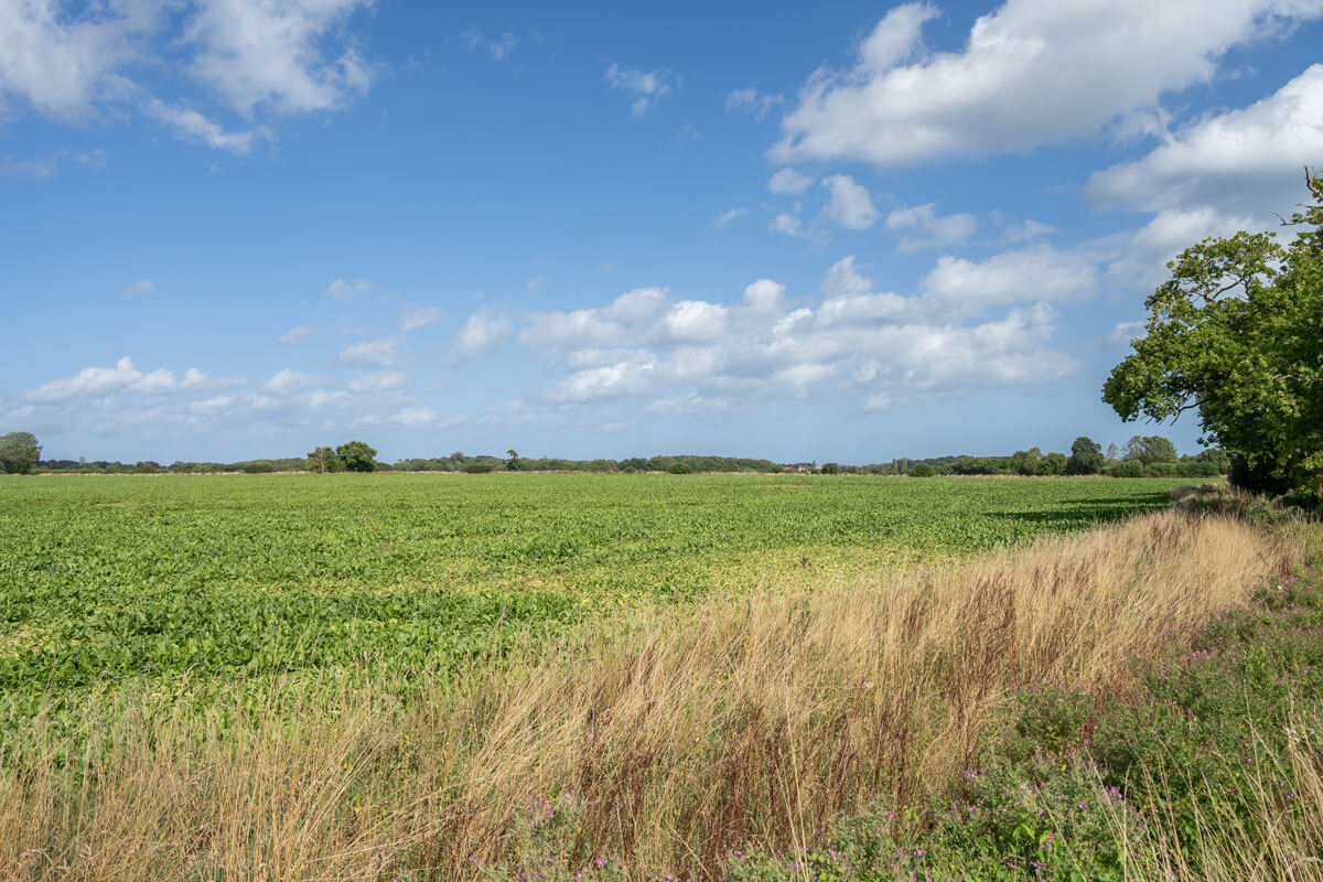 view-across-fields-near-bacton-from-holiday-let